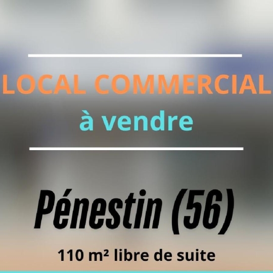 MATT IMMO CONSEIL : Local / Bureau | PENESTIN (56760) | 110.00m2 | 148 000 € 