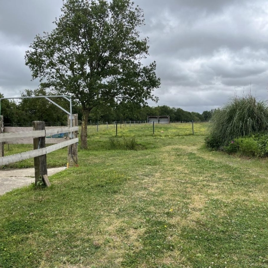  MATT IMMO CONSEIL : Local / Bureau | LA CHAPELLE-LAUNAY (44260) | 260 000 m2 | 494 400 &euro; 
