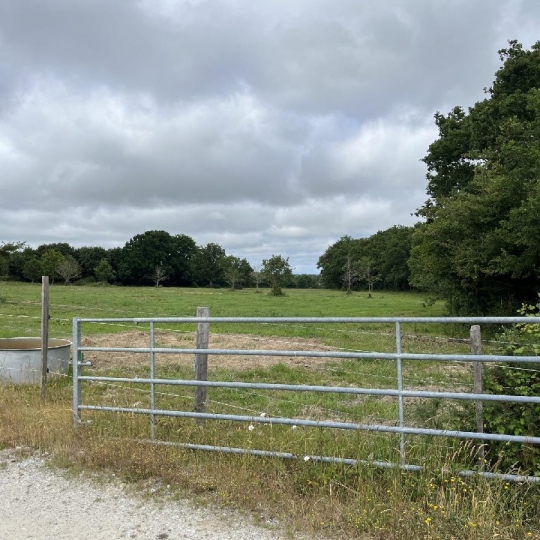  MATT IMMO CONSEIL : Local / Bureau | LA CHAPELLE-LAUNAY (44260) | 260 000 m2 | 494 400 &euro; 