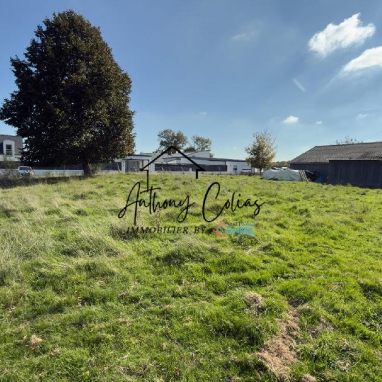 MATT IMMO CONSEIL : Terrain | MARZAN (56130) | 653.00m2 | 95 765 € 