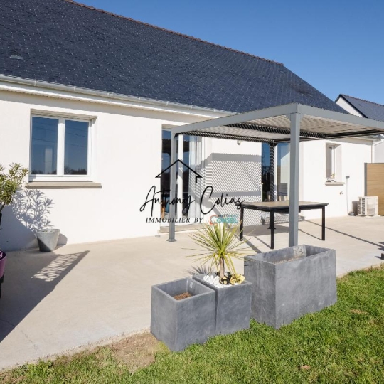  MATT IMMO CONSEIL : Maison / Villa | MARZAN (56130) | 84 m2 | 243 000 &euro; 