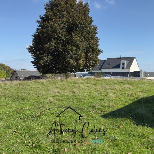 MATT IMMO CONSEIL : Terrain | MARZAN (56130) | 653.00m2 | 70 000 € 
