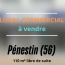  MATT IMMO CONSEIL : Local / Bureau | PENESTIN (56760) | 110 m2 | 148 000 € 