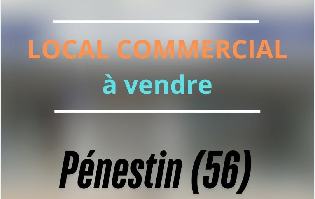 MATT IMMO CONSEIL : Local / Bureau | PENESTIN (56760) | 110 m2 | 148 000 € 