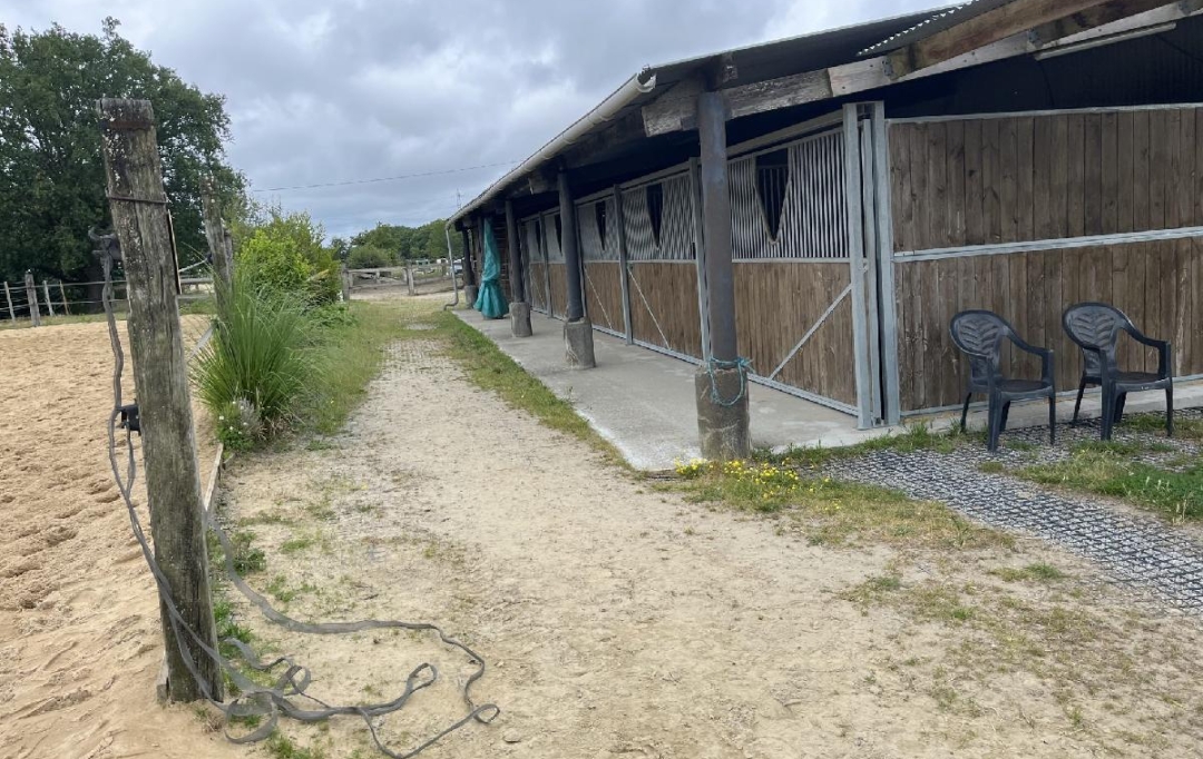 MATT IMMO CONSEIL : Local / Bureau | LA CHAPELLE-LAUNAY (44260) | 260 000 m2 | 494 400 &euro; 