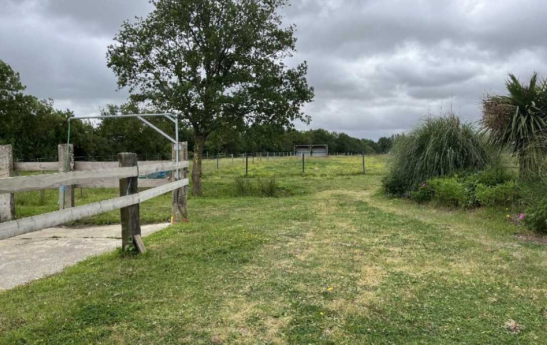 MATT IMMO CONSEIL : Local / Bureau | LA CHAPELLE-LAUNAY (44260) | 260 000 m2 | 494 400 &euro; 