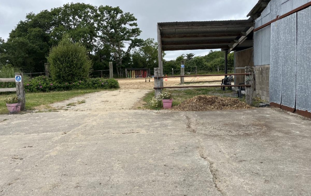 MATT IMMO CONSEIL : Local / Bureau | LA CHAPELLE-LAUNAY (44260) | 260 000 m2 | 494 400 &euro; 