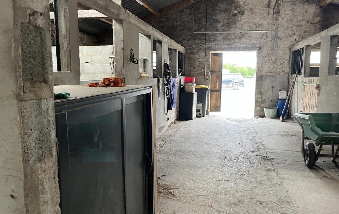MATT IMMO CONSEIL : Local / Bureau | LA CHAPELLE-LAUNAY (44260) | 260 000 m2 | 494 400 &euro; 