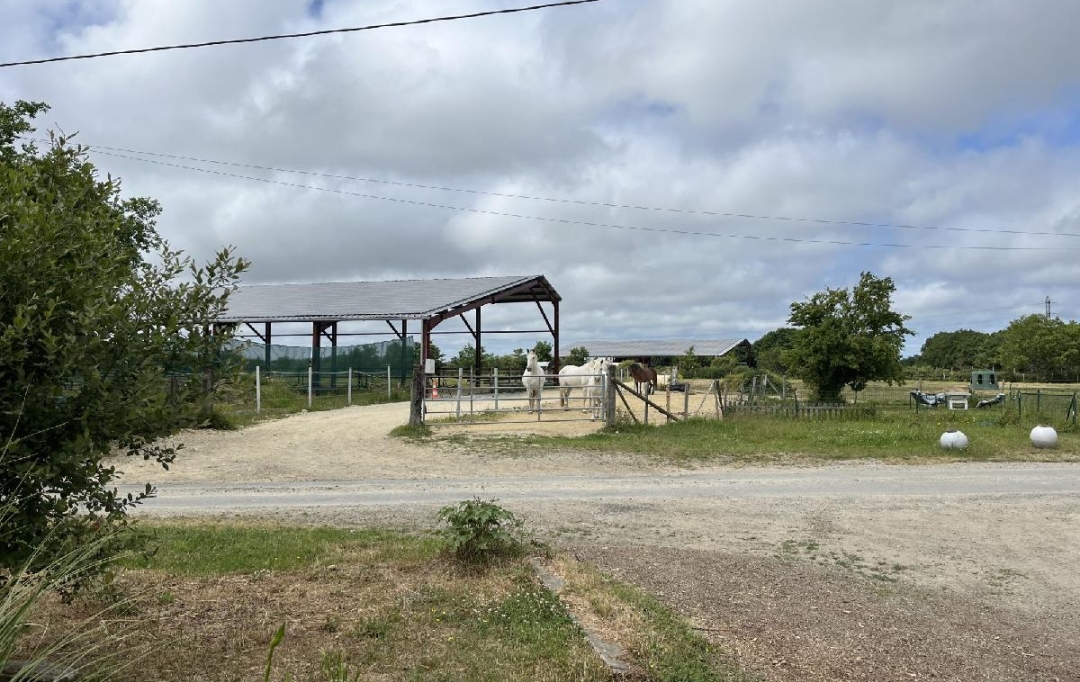 MATT IMMO CONSEIL : Local / Bureau | LA CHAPELLE-LAUNAY (44260) | 260 000 m2 | 494 400 &euro; 