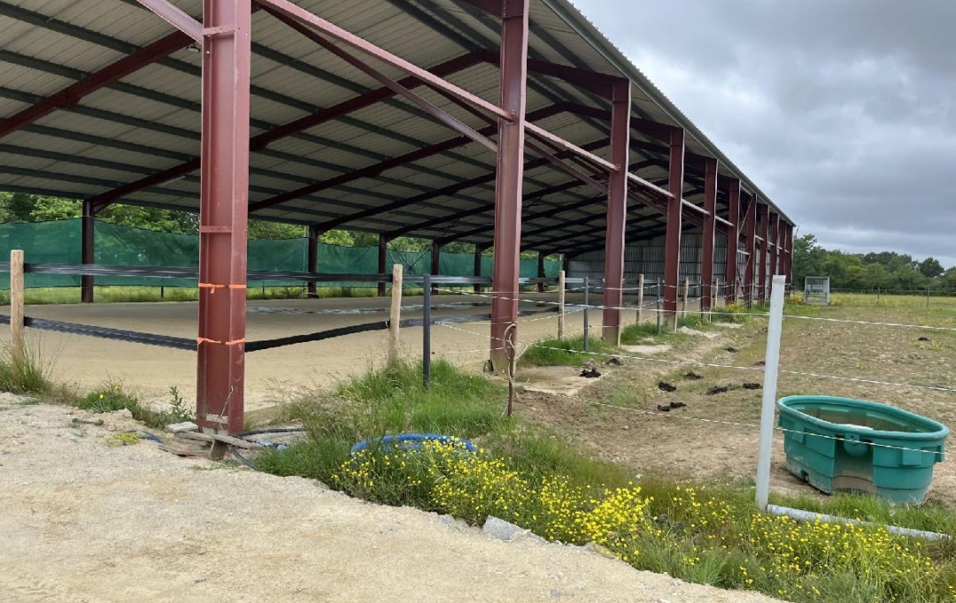 MATT IMMO CONSEIL : Local / Bureau | LA CHAPELLE-LAUNAY (44260) | 260 000 m2 | 494 400 &euro; 