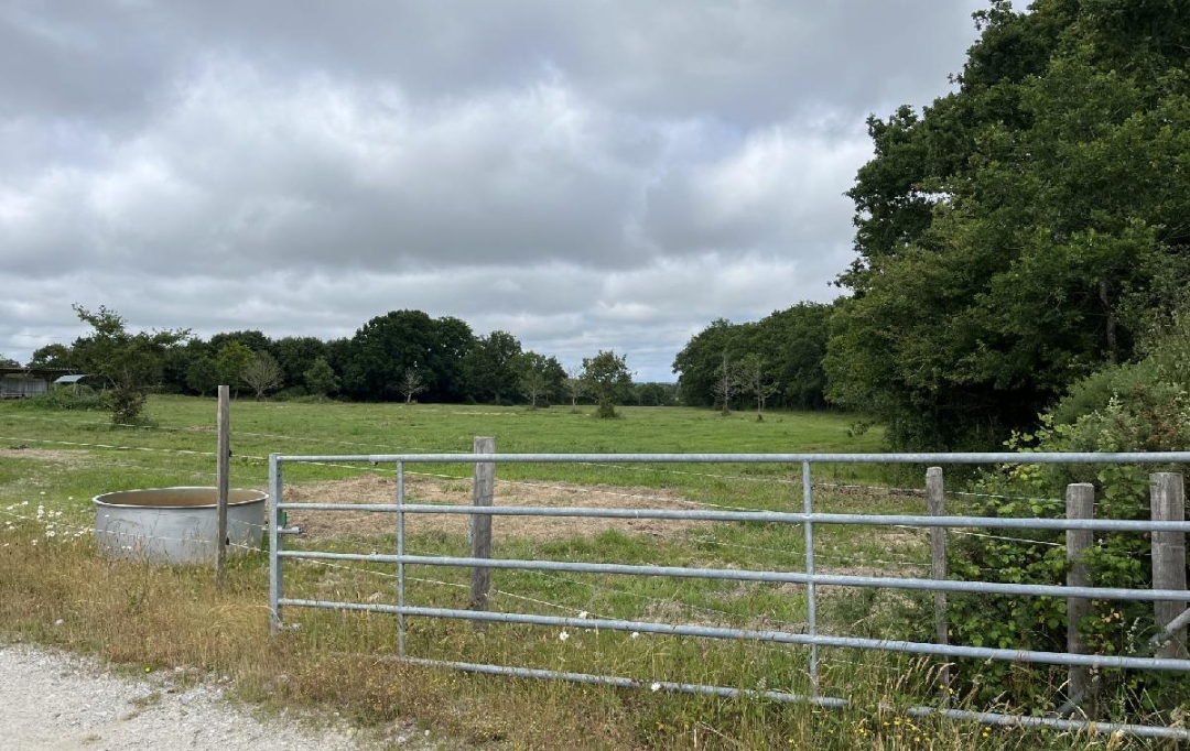 MATT IMMO CONSEIL : Local / Bureau | LA CHAPELLE-LAUNAY (44260) | 260 000 m2 | 494 400 &euro; 