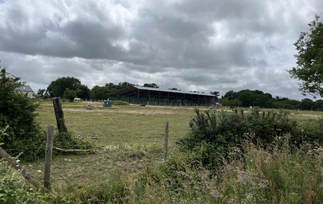 MATT IMMO CONSEIL : Local / Bureau | LA CHAPELLE-LAUNAY (44260) | 260 000 m2 | 494 400 &euro; 