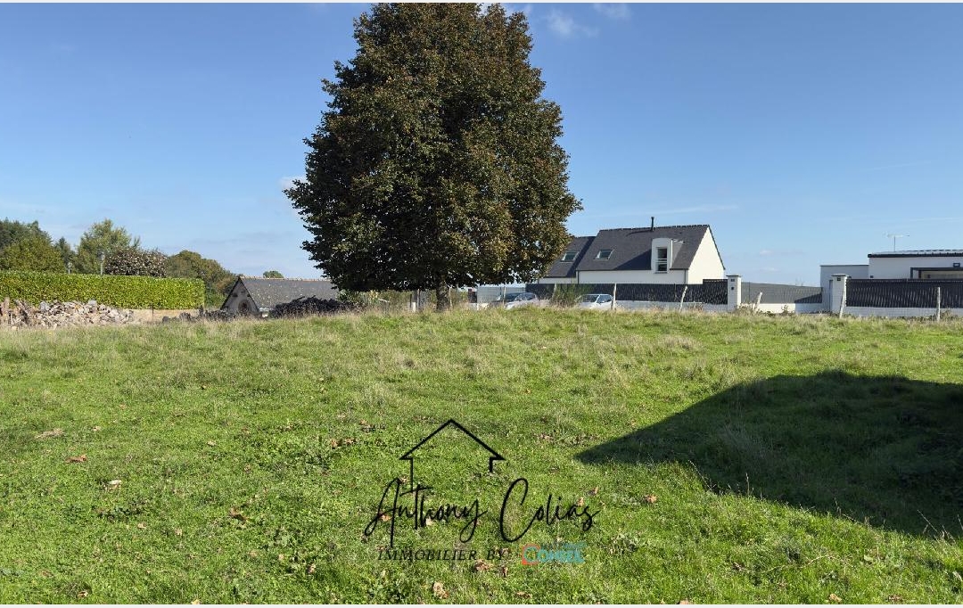 MATT IMMO CONSEIL : Terrain | MARZAN (56130) | 653 m2 | 95 765 € 