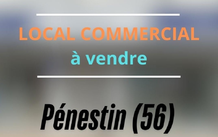 Local commercial PENESTIN 110 m2 148 000 € Local commercial PENESTIN 110 m2 148 000 €